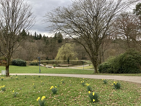 Pfadfinder in Waldbronn