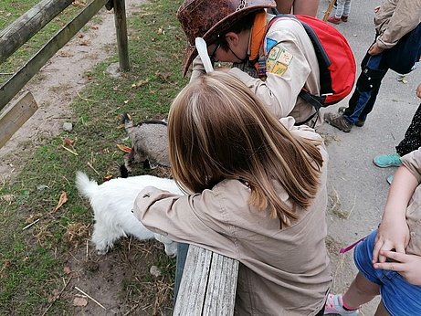 Zwei Kinder und Ziegen