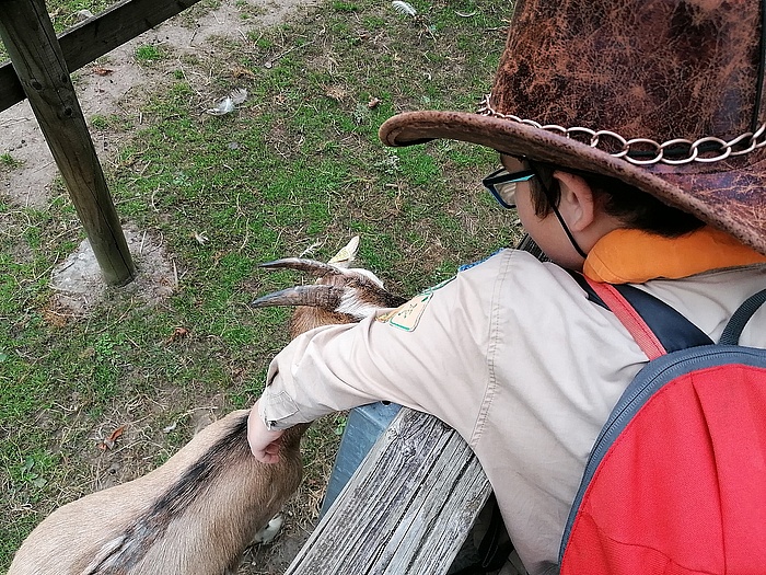 Kind streichelt Ziege